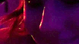 Darcy Dark as Stepsister Receives Creampie in Pussy After Sucking