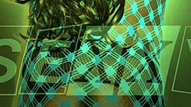 Have you seen this very sexy photoshoot with one ladyboy posing in panties and lingerie?