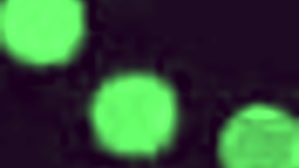 webcam mature with saggy tits shares casual naughty moments