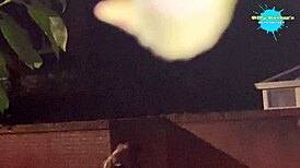 cracky explores her wild outdoor world as a mature european babe