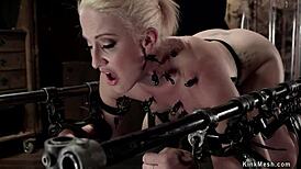 blonde experiences squirting on bondage device