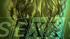 Have you seen this very sexy photoshoot with one ladyboy posing in panties and lingerie?