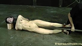 Tjejer böjda över får hård bakifrån-sex