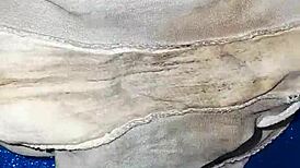 neighbor's dirty panties in emo style intense scene