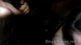 Hot Wives Blowbang Party