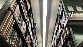 Pussy worship with pissing and bath alongside Lil Kittytheory