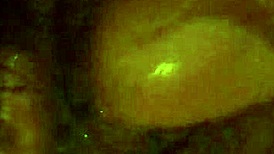 Mi Tío Me Masturba La Vagina Peluda