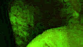 Mi Tío Me Masturba La Vagina Peluda