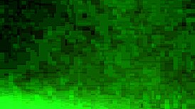 gấu d�m 2k r�n si�u d�m 💥