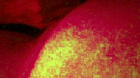 colombian girl gives blowjob before riding