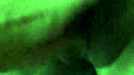 gấu d�m 2k r�n si�u d�m 💥