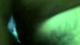 gấu d�m 2k r�n si�u d�m 💥