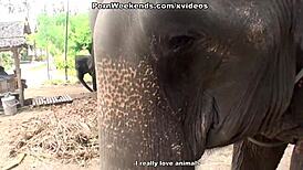 is this blowjob your punishment for misbehaving during the holiday? clothes ripped off for rough sex