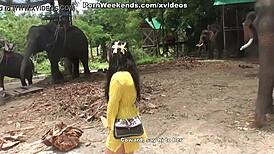 to obciąganie to kara za złe zachowanie na wakacjach? ciuchy zerwane na ostre rżnięcie