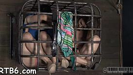 Slaves endure torment in an intriguing neutral setting