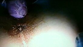 Blindfolded wife gets drilled with RABBIT DILDO in wild session.