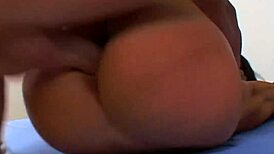 unveiling stunning shemale beauty in hot compilation