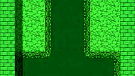 Hot waitress in bunny outfit