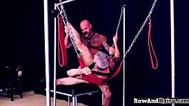 polar bear roughly buttfucks a tight gay asshole bareback