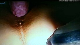 Blindfolded wife gets drilled with RABBIT DILDO in wild session.