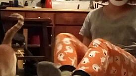 ชาวบ้านทั่วไปแชร์คลิปเฟติชทำเองในคอมไพล์ชั่นนี้