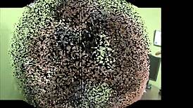 Shoe Fetish Licking And Heels