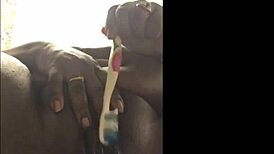 his toothbrush made my wet pussy squirt