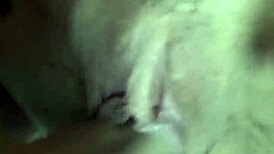 Can The Skinny Nymph Handle The Big Dick In Her Ass?