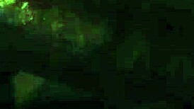 Savage Blowjob Action