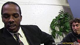 Casey Calvert's Huge Black Dick Anal Humiliates Old Cuckold!