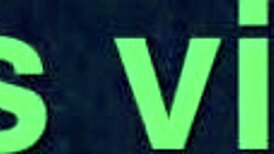 European Couple Engages In Subtle Sexual Activity