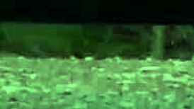 Shocking beauty says: Want to see my hot assets? Let's fuck!