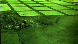 Bad Slut Rough Fuck Compilation