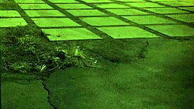 i got a big ass brazilian teen 18+ unless youre from the sixties and delve that