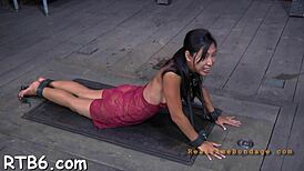 Hoisted Cutie Awaits Intense Action