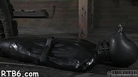 Hotty gets neck collar, legs spread wide in pov doggystyle