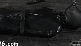 Hotty gets neck collar, legs spread wide in pov doggystyle