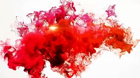 marcella enjoys her first time with a big black guy outdoors sucking and fucking his huge cock