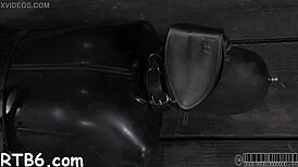 Hotty gets neck collar, legs spread wide in pov doggystyle