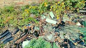 she's the only girl, everyone wants to fuck her