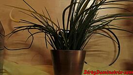 pretty mistress bound and fingering her pussy in solo domination session