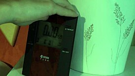 pretty mistress bound and fingering her pussy in solo domination session