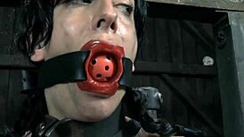 Boxed Up Girl, Are You Ready for Tight Pussy Action?