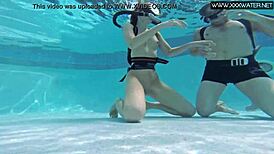 Manga character in pool with underwater fingering and oral