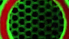 vicky vette stuffed both holes with dildos then sucked her boyfriend's big cock