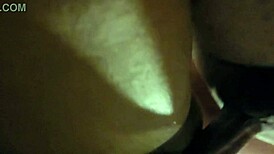 Amateur Couple Enjoys Naughty Bedroom Action with Naughty Ant