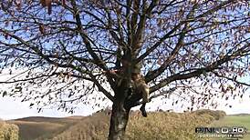 Stunning Italian Blonde Fiamma Monti