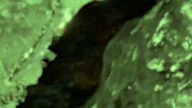 i'm cheating with stepmom lauren phillips in doggystyle action