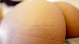 myanmar cute girls in wild sex tourism, oops