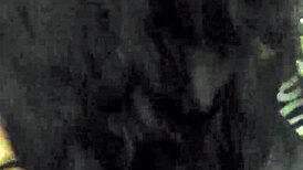 Cigar Chair Session with Amateurs